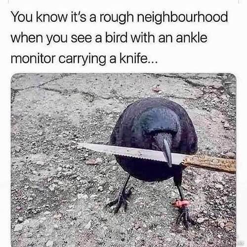 FB_IMG_1659470144728