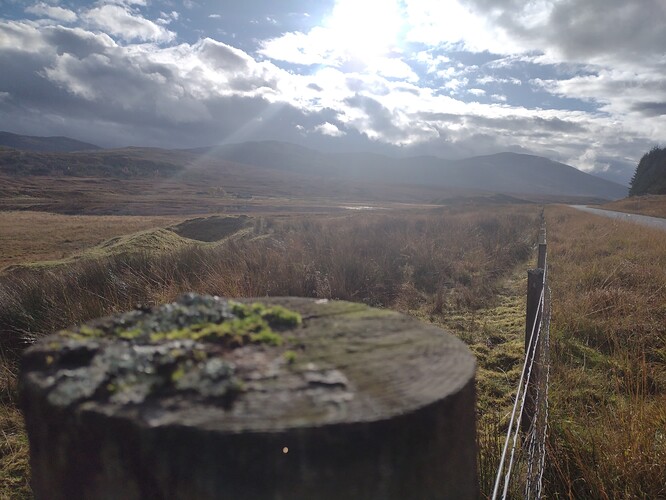 IMG_20221025_141904190