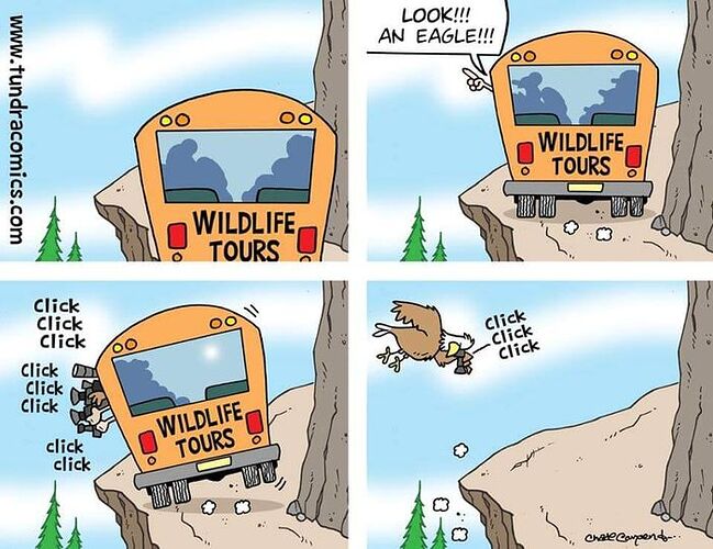 wildlife