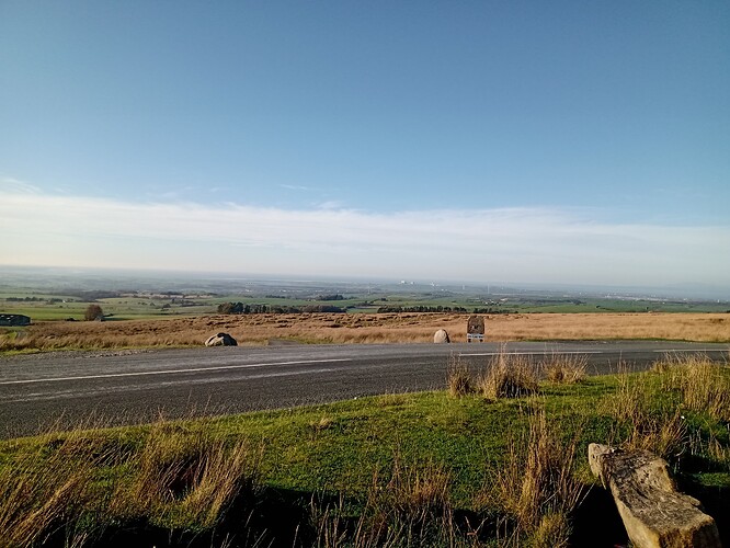 IMG_20221113_120836286