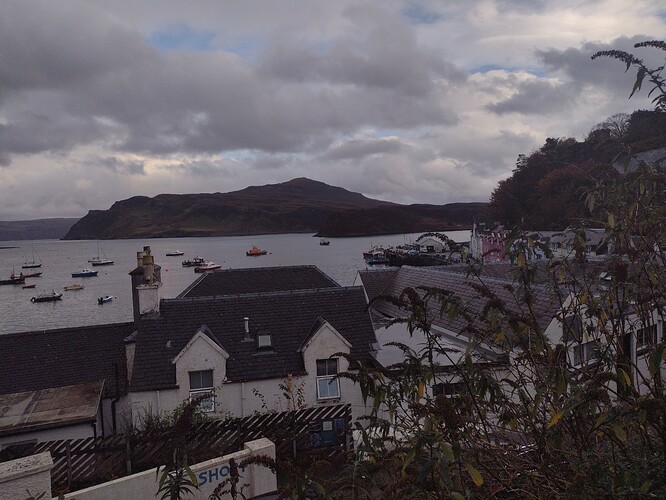 IMG_20221025_163408817