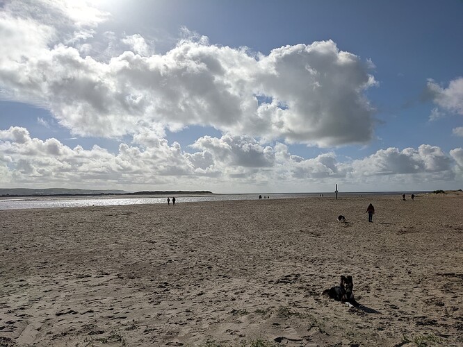 PXL_20221008_122310807