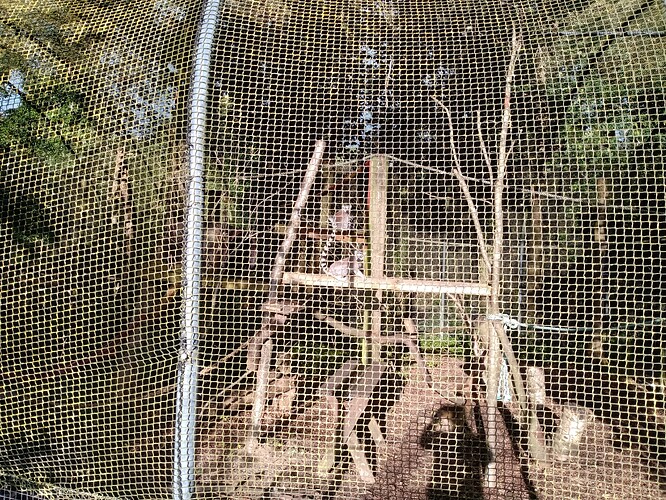 IMG_20230815_185519910