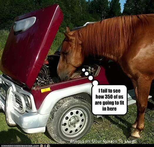 FB_IMG_1728582202933