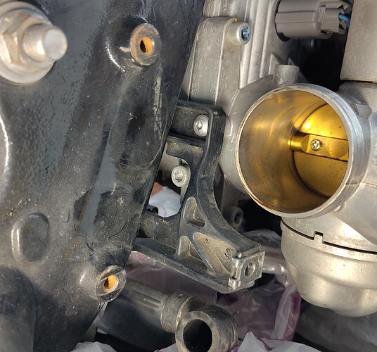 throttle-adjuster-blanking-screw