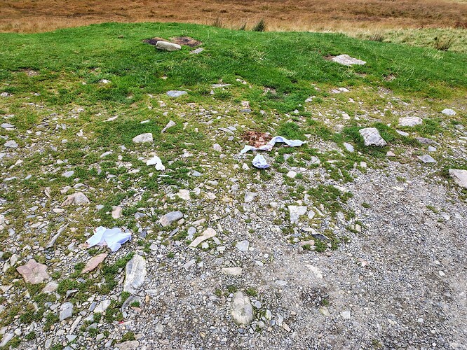 IMG_20251016_123812975_HDR_AE