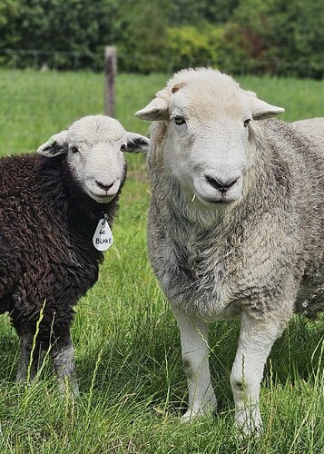 20250802_174706-high-sg15s2