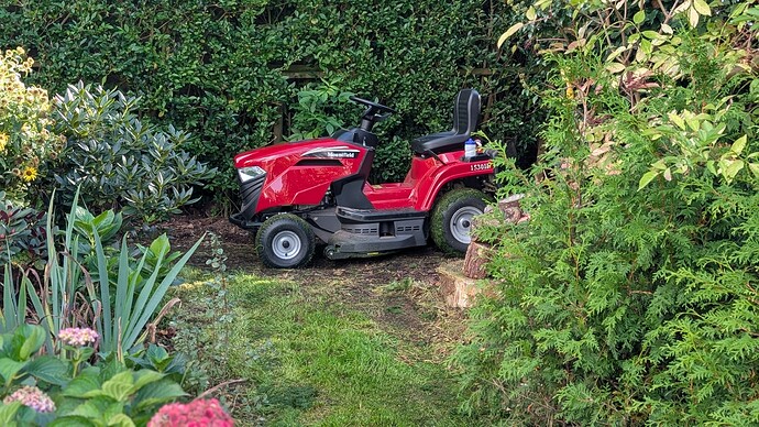 PXL_20250925_123550809.PORTRAIT_Original