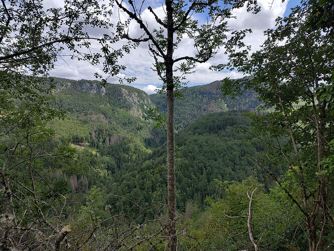 IMG20260606135222