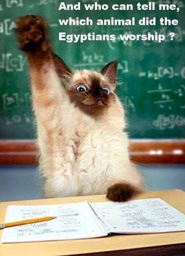 egyptians