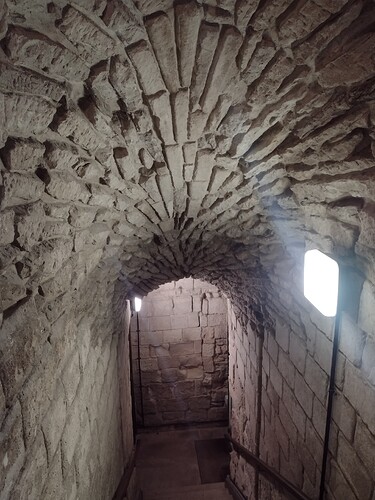 IMG_20250325_114124747