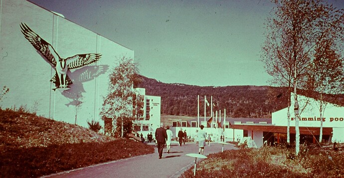 6815759728_6d34225078_b