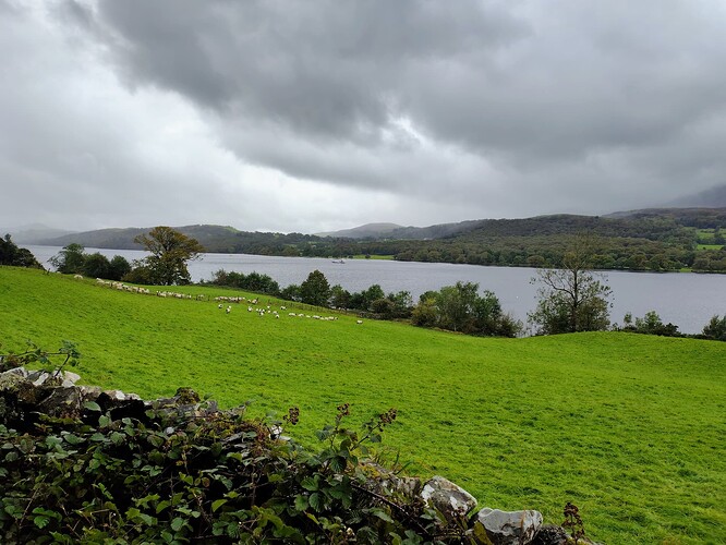 IMG_20250916_110426521_HDR_AE