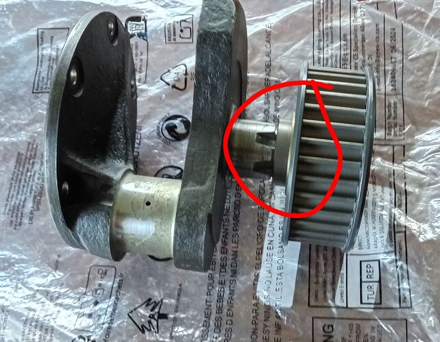 IMG_20251129_121333371_HDR~3