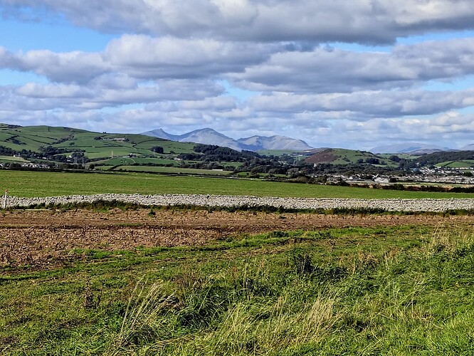 IMG_20250922_153235859_HDR_AE