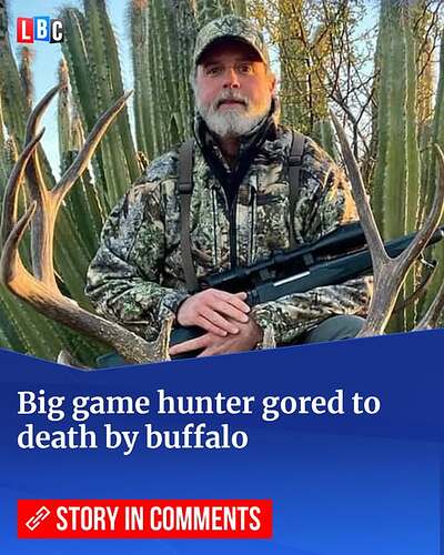 buffalo