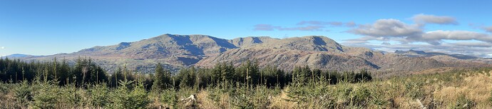 IMG_2924