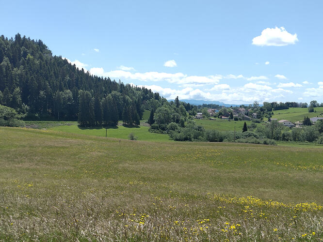 IMG20260606130222